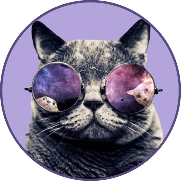 Unlisted Show Item ⭐️ Posh Cheeky Bin - Picture 2 of 3